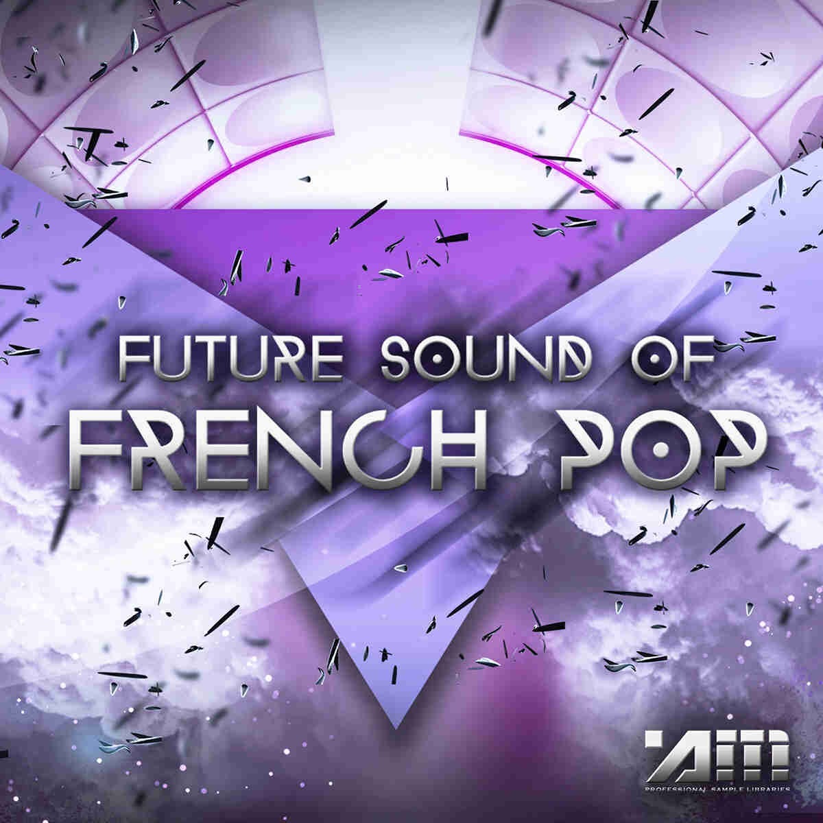 Audio Masters - Future Sound of French Pop Sample Packs Software GUI Artwork